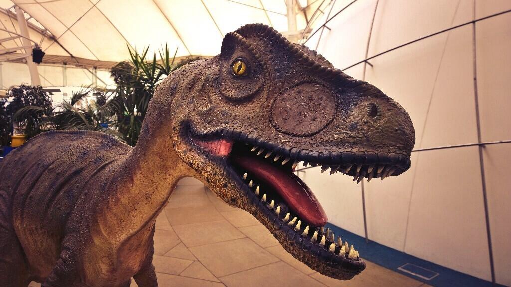 Smart phone photography training dinosaur